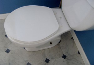 toilet-1359745827HS0